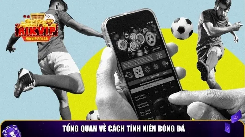 cach tinh xien bong da 1 Tổng quan về cách tính xiên bóng đá