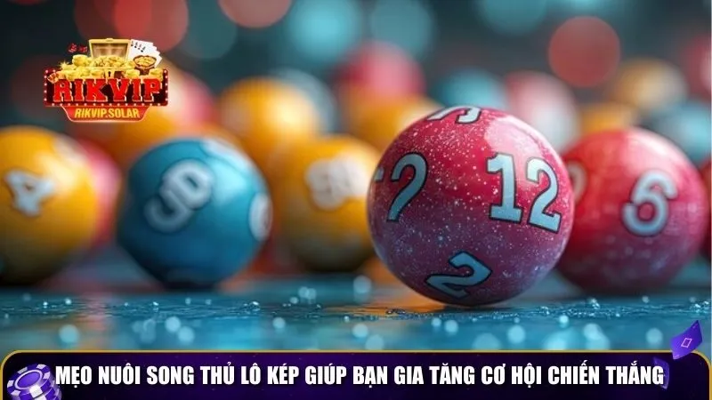 meo nuoi song thu lo kep 3 Mẹo nuôi song thủ lô kép giúp bạn gia tăng cơ hội chiến thắng