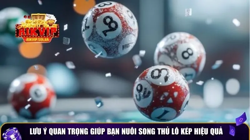meo nuoi song thu lo kep 4 Lưu ý quan trọng giúp bạn nuôi song thủ lô kép hiệu quả