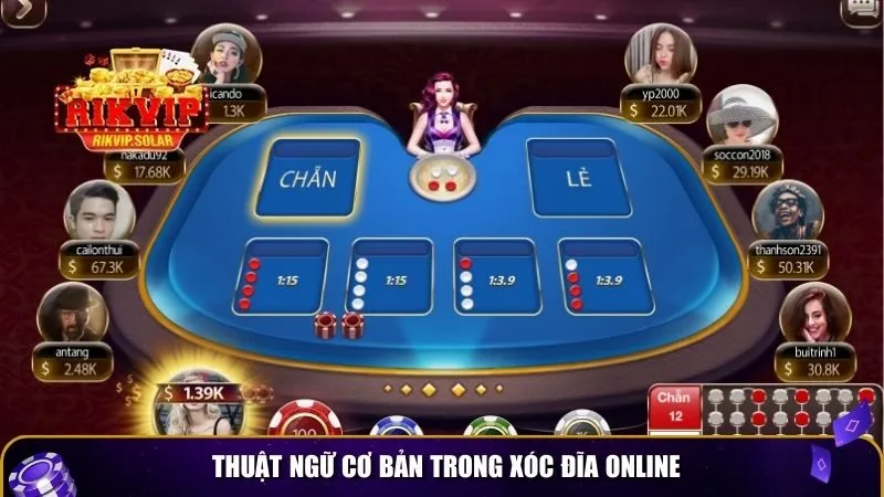 xoc dia online thang lon 2 Thuật ngữ cơ bản trong xóc đĩa online